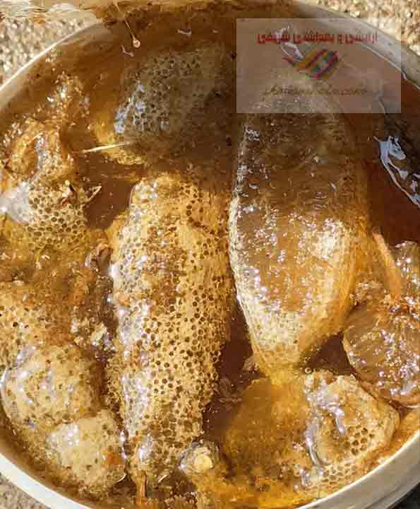 عسل وحشی جمع آوری شده از مزارع ، نیزارها و دشتهای شهرهای شوش دانیال، شوشتر، دزفول خوزستان 