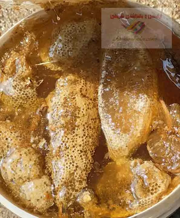 عسل وحشی جمع آوری شده از مزارع ، نیزارها و دشتهای شهرهای شوش دانیال، شوشتر، دزفول خوزستان 